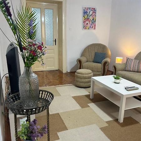 Nf'S Home Lovely Apartment In Heart Of سراييفو المظهر الخارجي الصورة