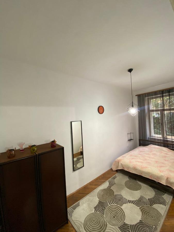 Nf'S Home Lovely Apartment In Heart Of سراييفو المظهر الخارجي الصورة