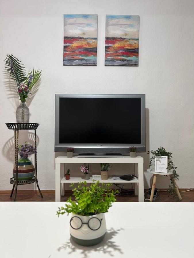 Nf'S Home Lovely Apartment In Heart Of سراييفو المظهر الخارجي الصورة